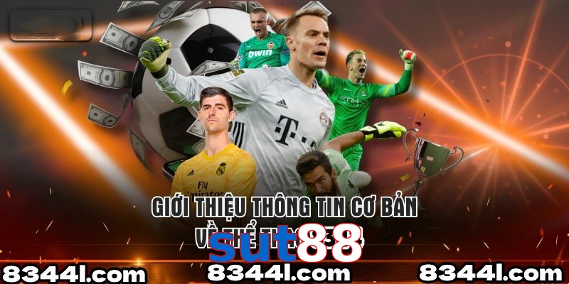 Giới Thiệu Thông Tin Cơ Bản Về Chuyên Mục Thể Thao sut88